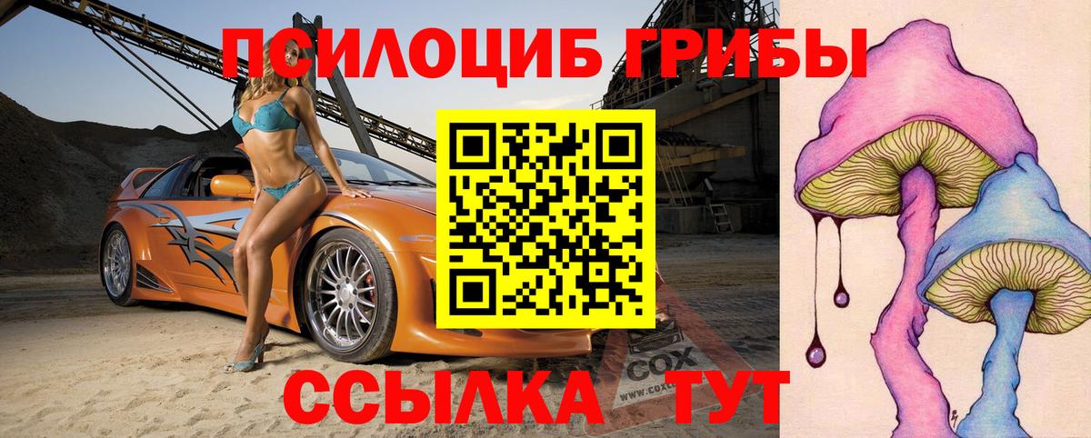 Майкоп  Галлюциногенные грибы Psilocybe  Вход с VPN 