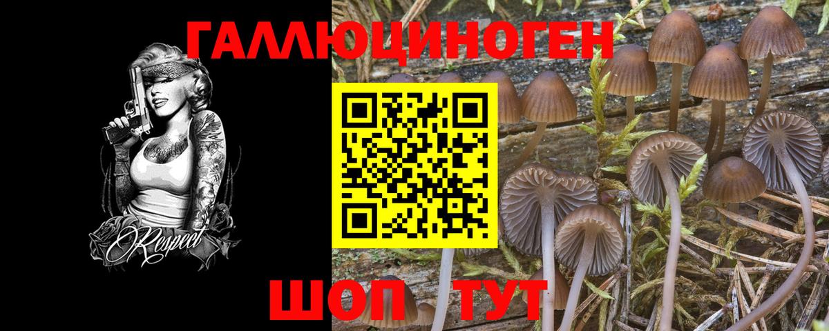 Галлюциногенные грибы Cubensis Майкоп